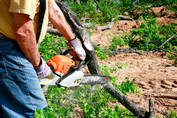 Lawn Irrigation Installation and Maintenance in Hebron, PA